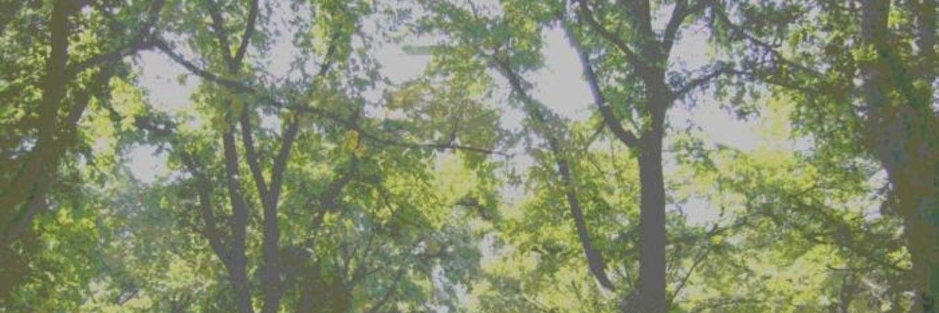 AKAK's profile banner image