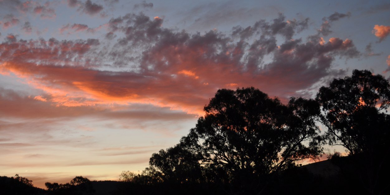 Lachy Herbert banner