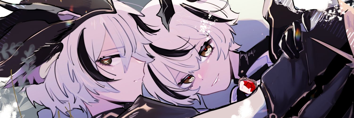 fudooy's profile banner image