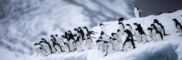 Tashavanzandt Profile Banner