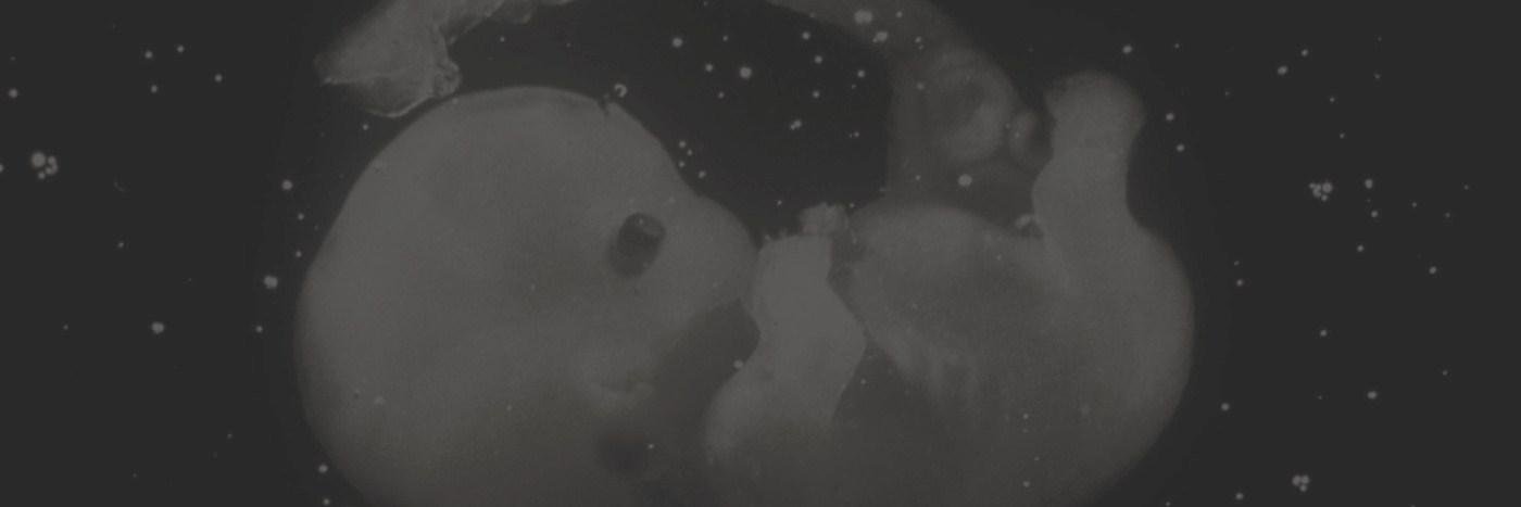 DraJKirk's profile banner image