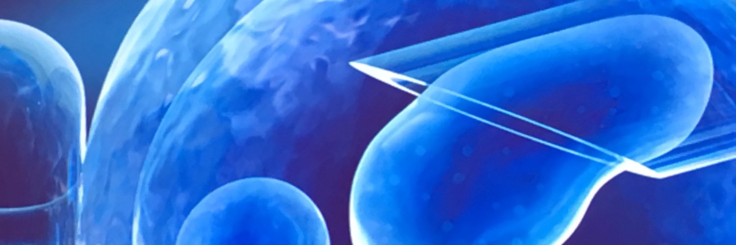 bob_doust's profile banner image