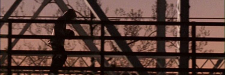 sdegeryd's profile banner image