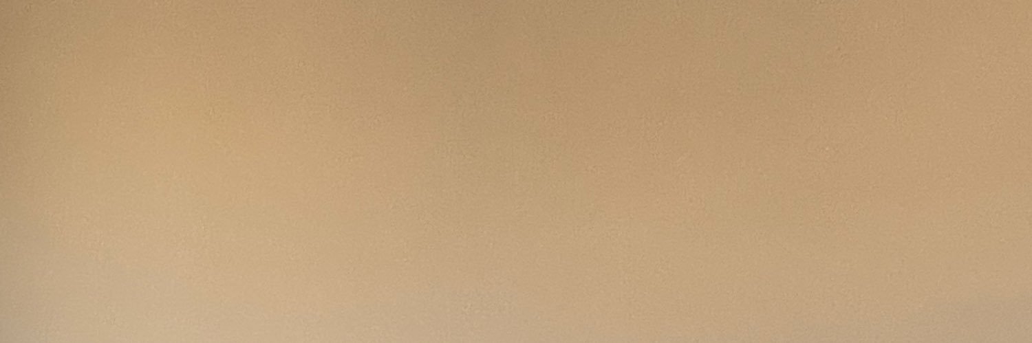 Ian Schwartzman's banner