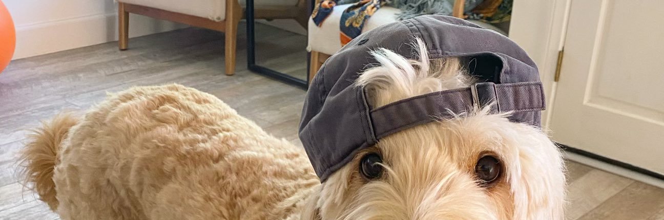 ProperlyChill's profile banner image