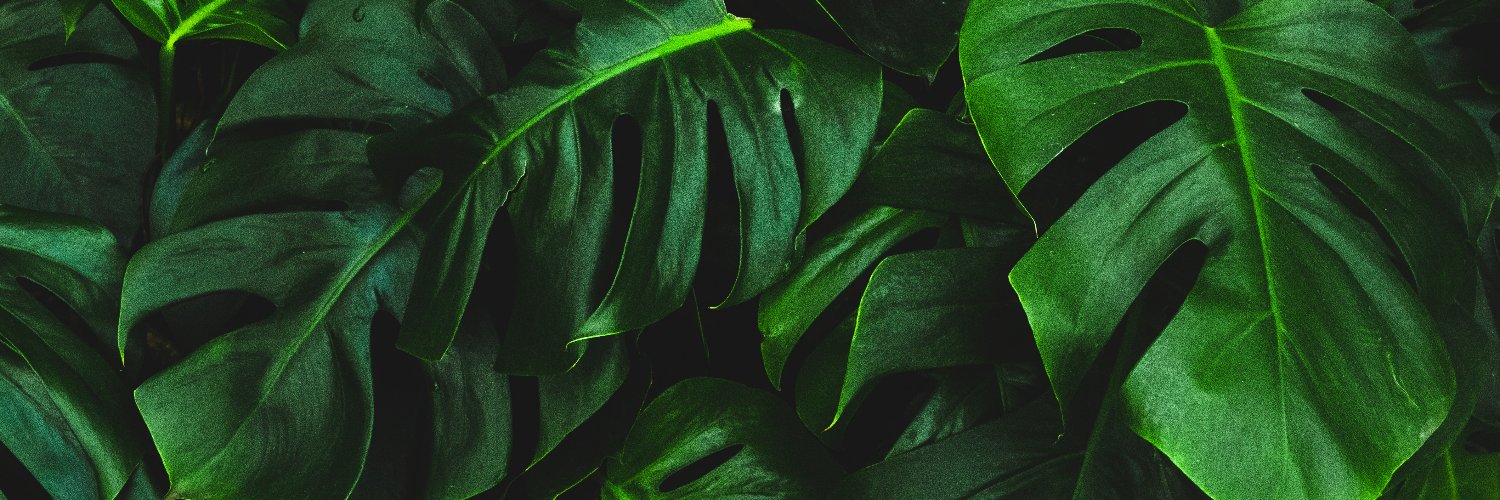 gemadha's profile banner image