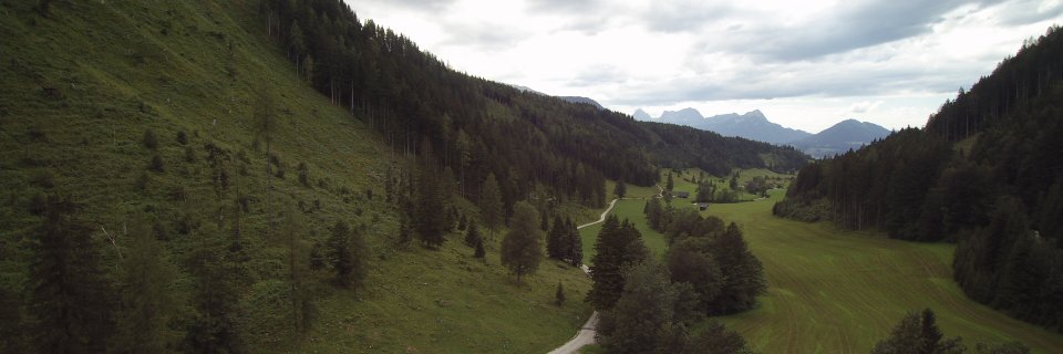 RonnyMees's profile banner image