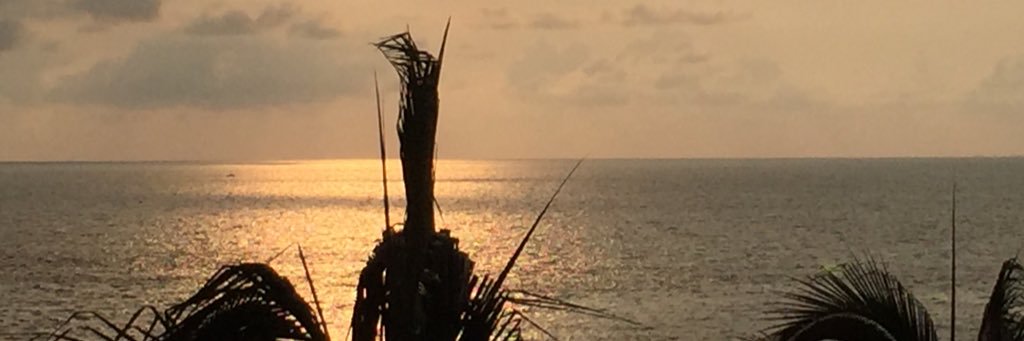 maps1911's profile banner image