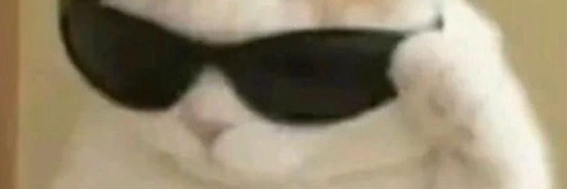skeeeeeel's profile banner image