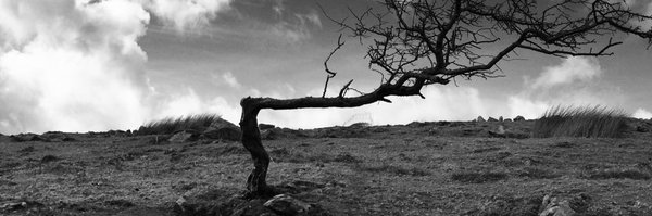 JanePegram Profile Banner