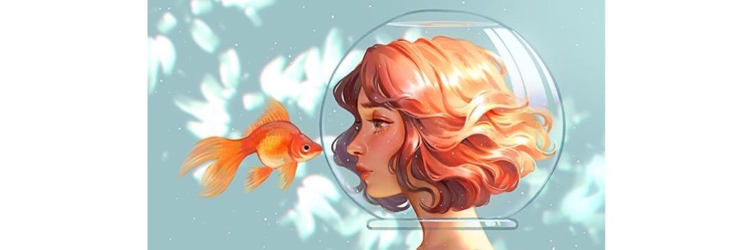 tambifish's profile banner image