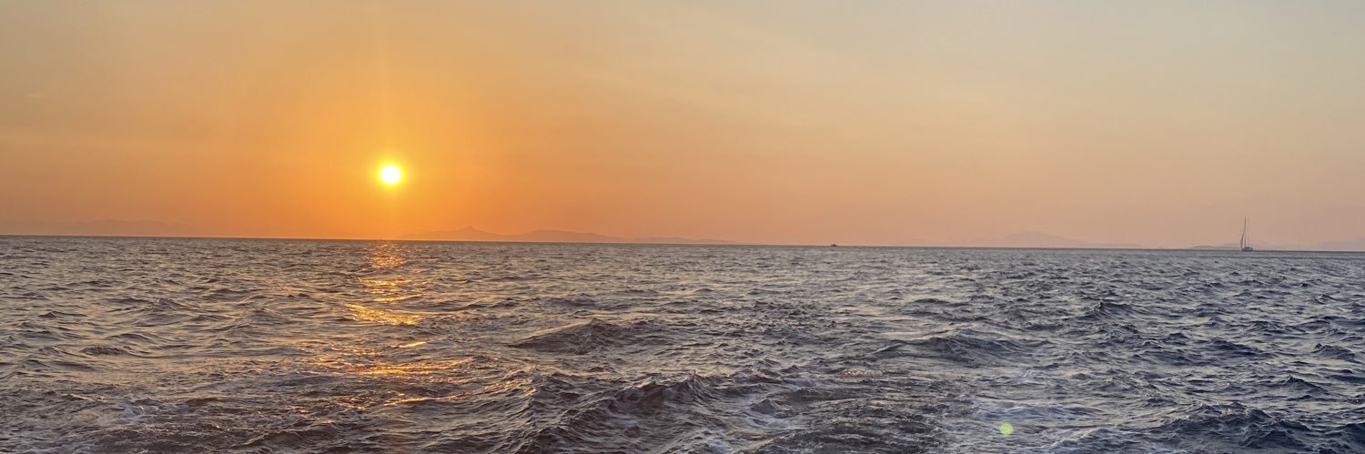 TaylorTrotman's profile banner image