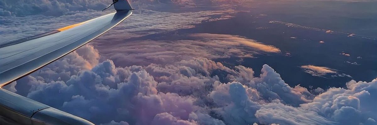 Halimaa___S's profile banner image