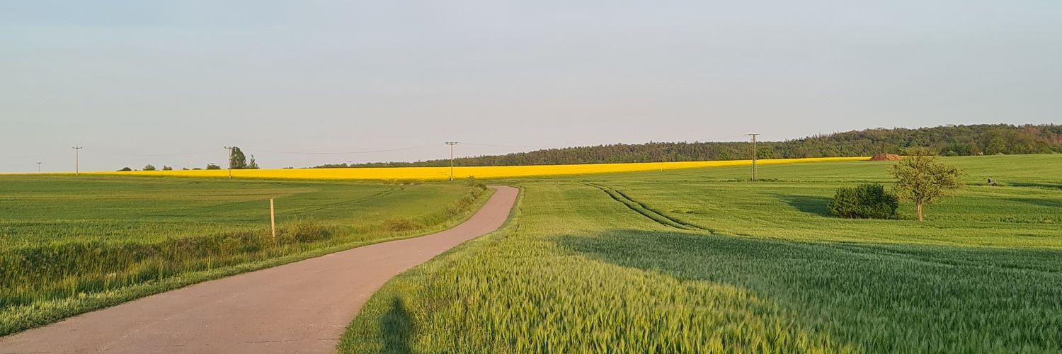 marlisschorcht's profile banner image