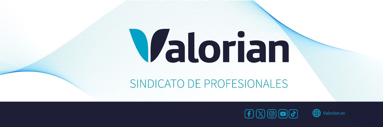Valorian NorteAragon banner