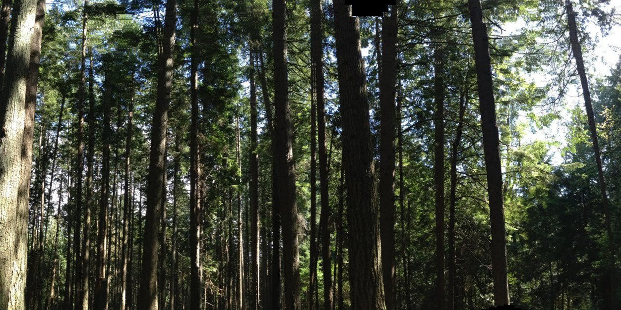Ostwelve's profile banner image