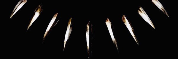 CherEkko Profile Banner