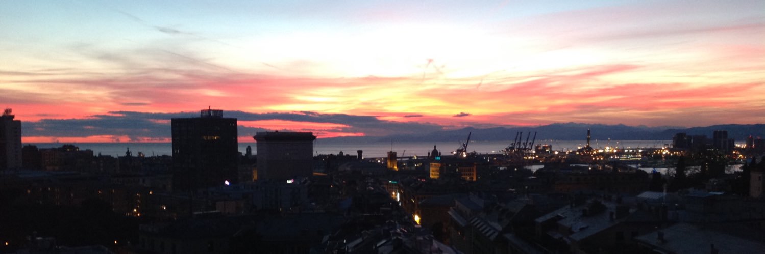 Anna Cambiaggi banner