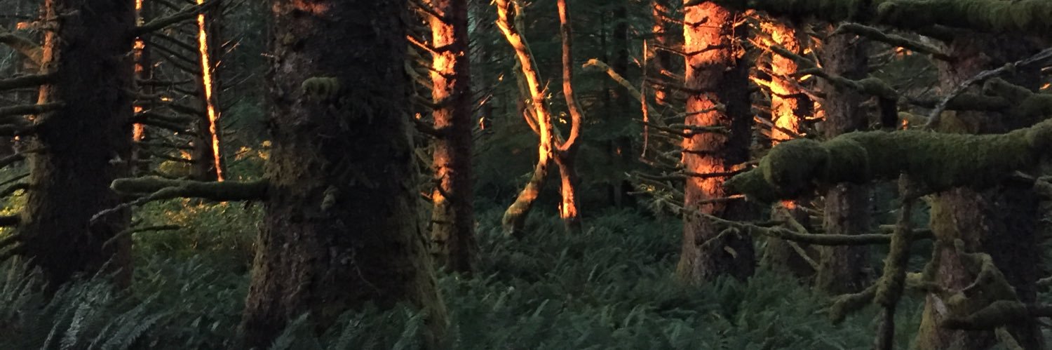 HarryLeadbeater's profile banner image