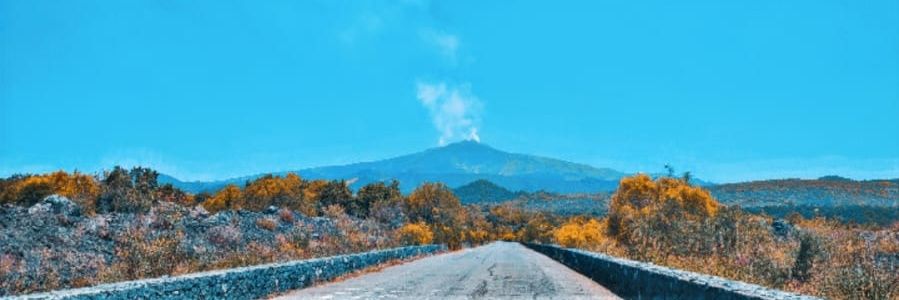 Kevin_ShareNET banner