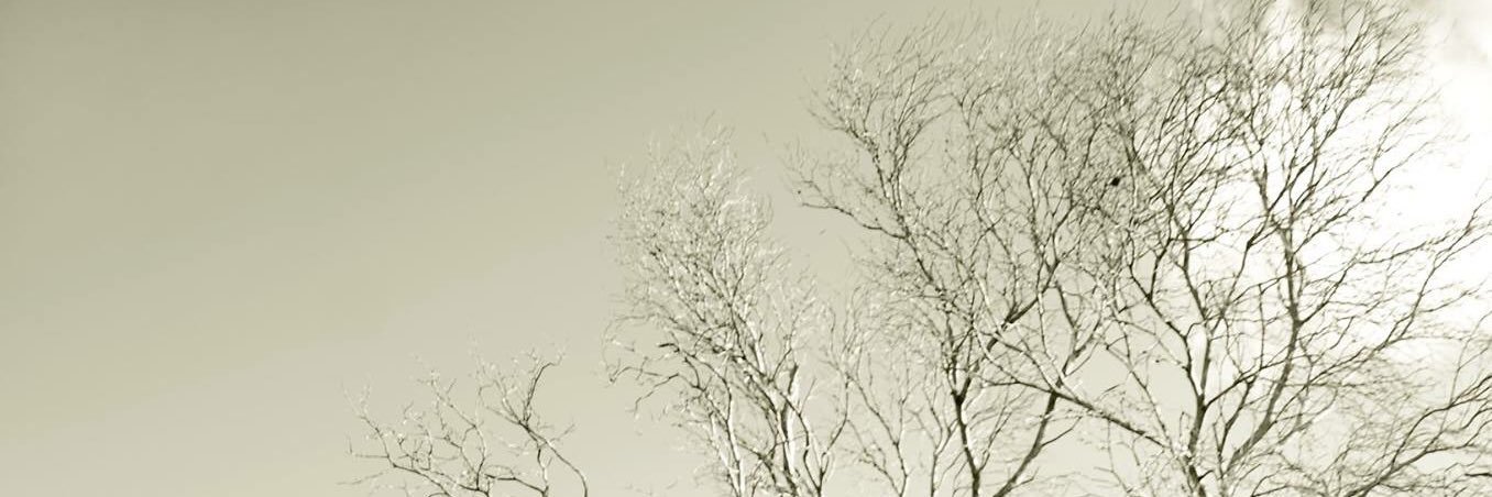 excusemytom's profile banner image