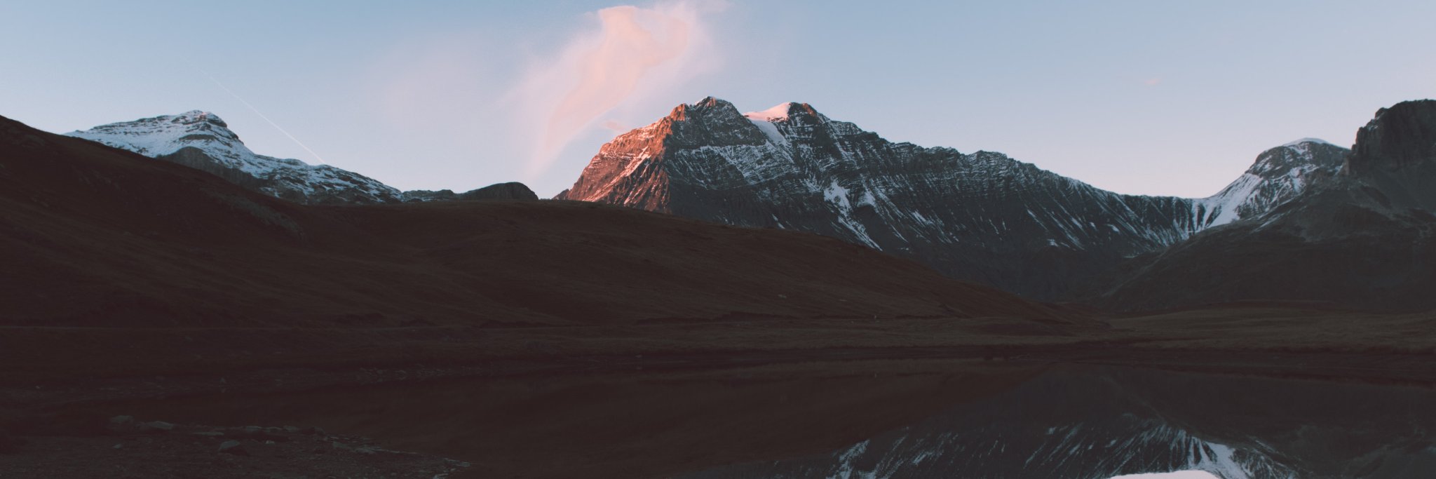 willtality_'s profile banner image