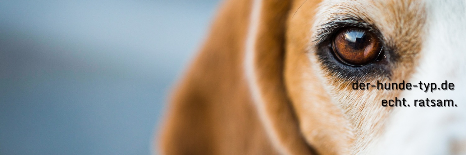 der_hunde_typ's profile banner image