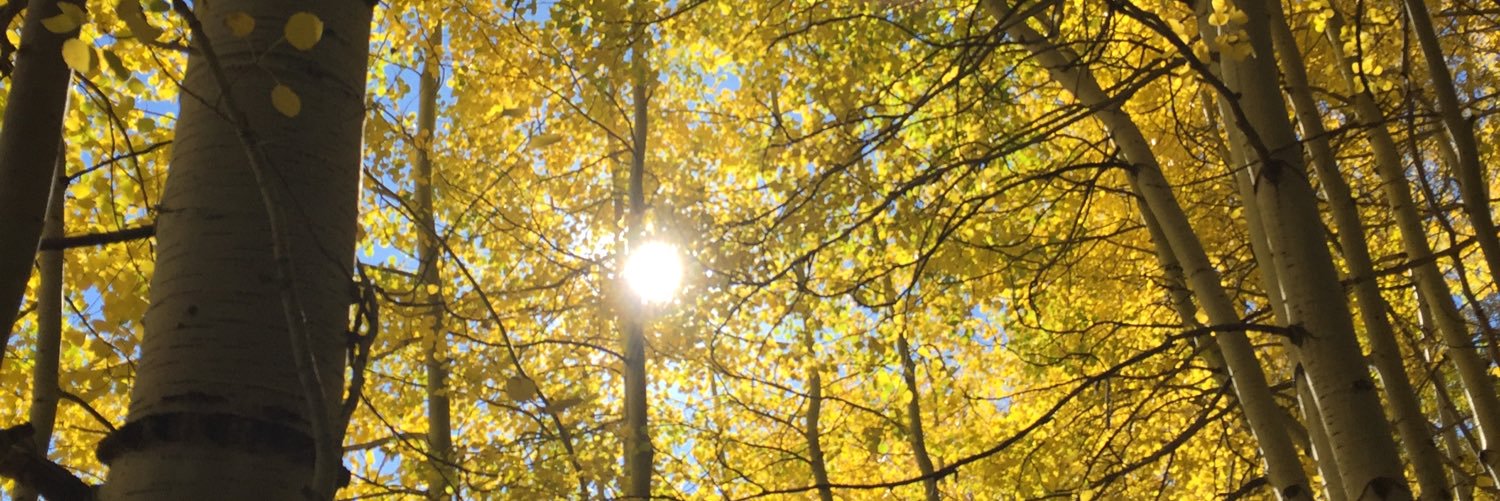 goldenbergmax1's profile banner image