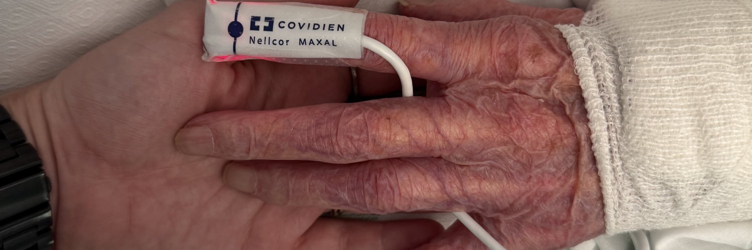 Margherita Spadoni banner