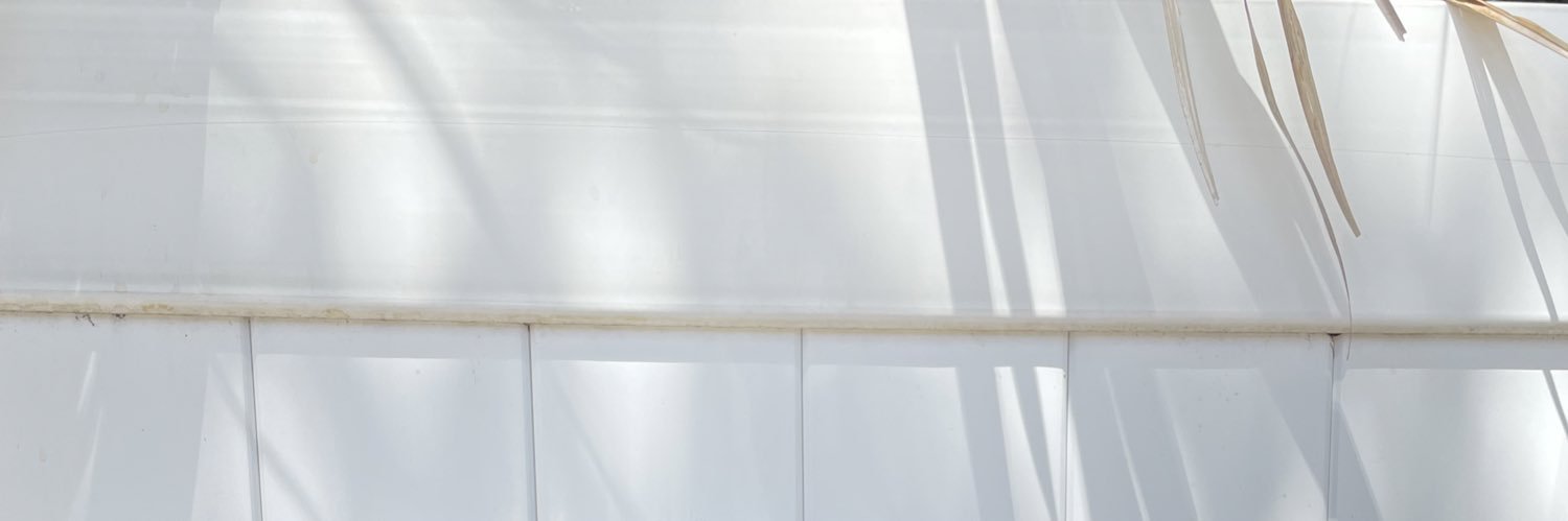 thisisjujuo's profile banner image