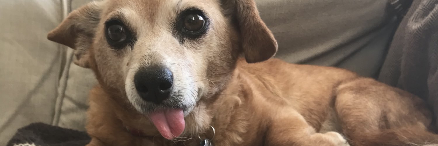 Dave Thomason banner