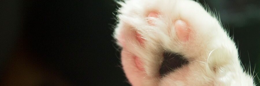 estileta's profile banner image