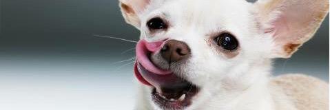 thaliandrea's profile banner image