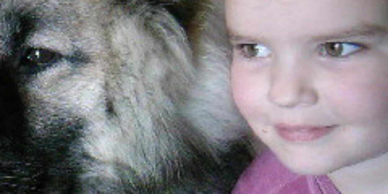 willow_stone's profile banner image