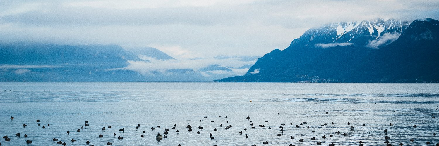 Alix Pham 🔸 banner