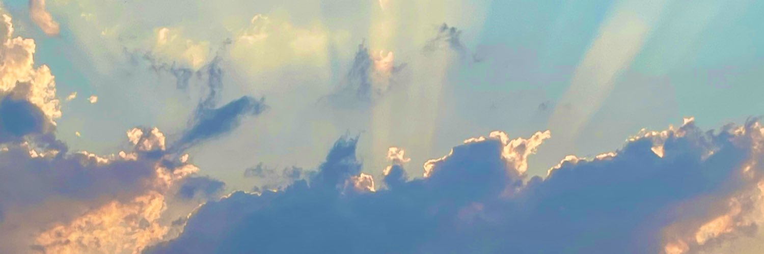 CeylanFulya's profile banner image