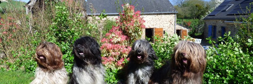 les Farfadets banner