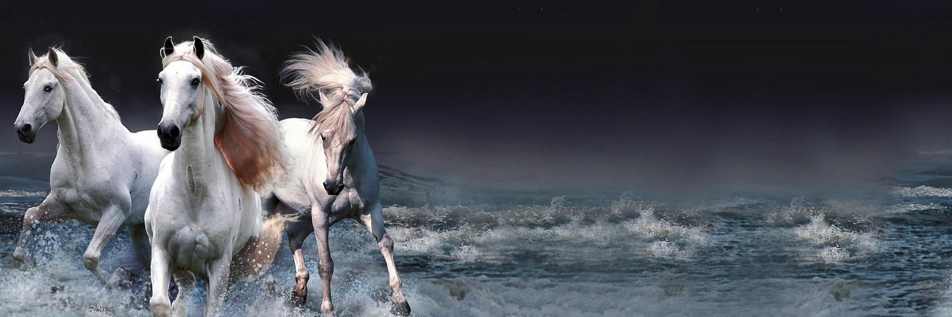mandasamer's profile banner image