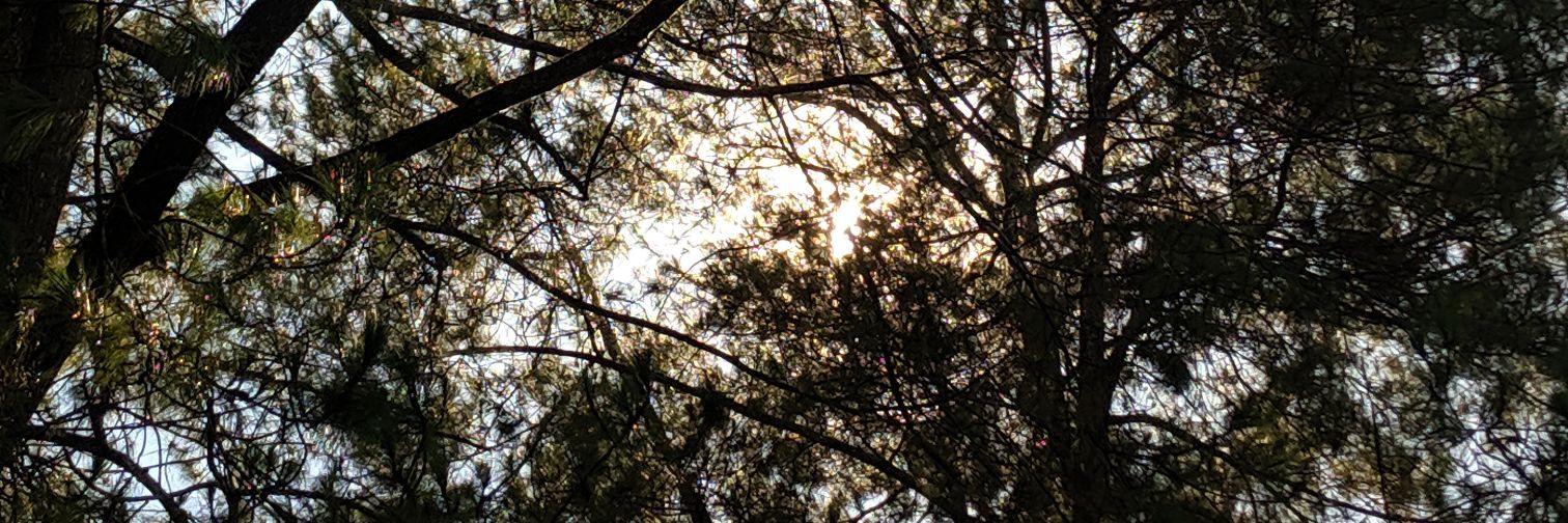 aliftulusp's profile banner image