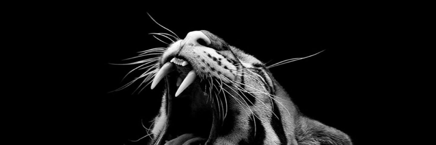 DiscreetValient's profile banner image