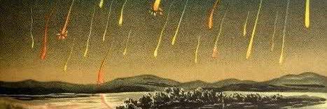 bett williams banner