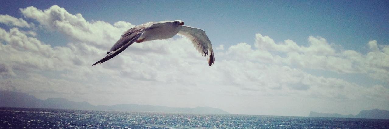 DavideIzzo's profile banner image