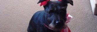 findcleo's profile banner image