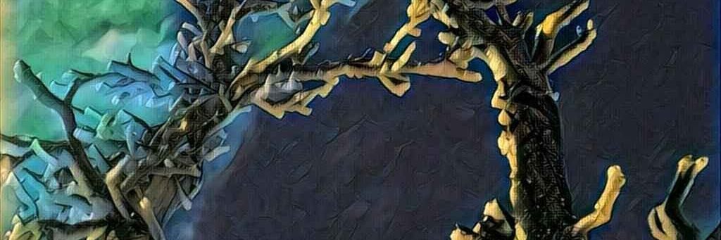 Briansteger47's profile banner image