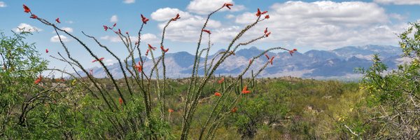 DrWeil Profile Banner