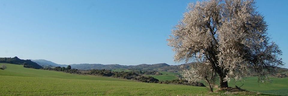 eMendigorria's profile banner image