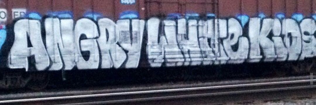 AngryWhiteKids's profile banner image
