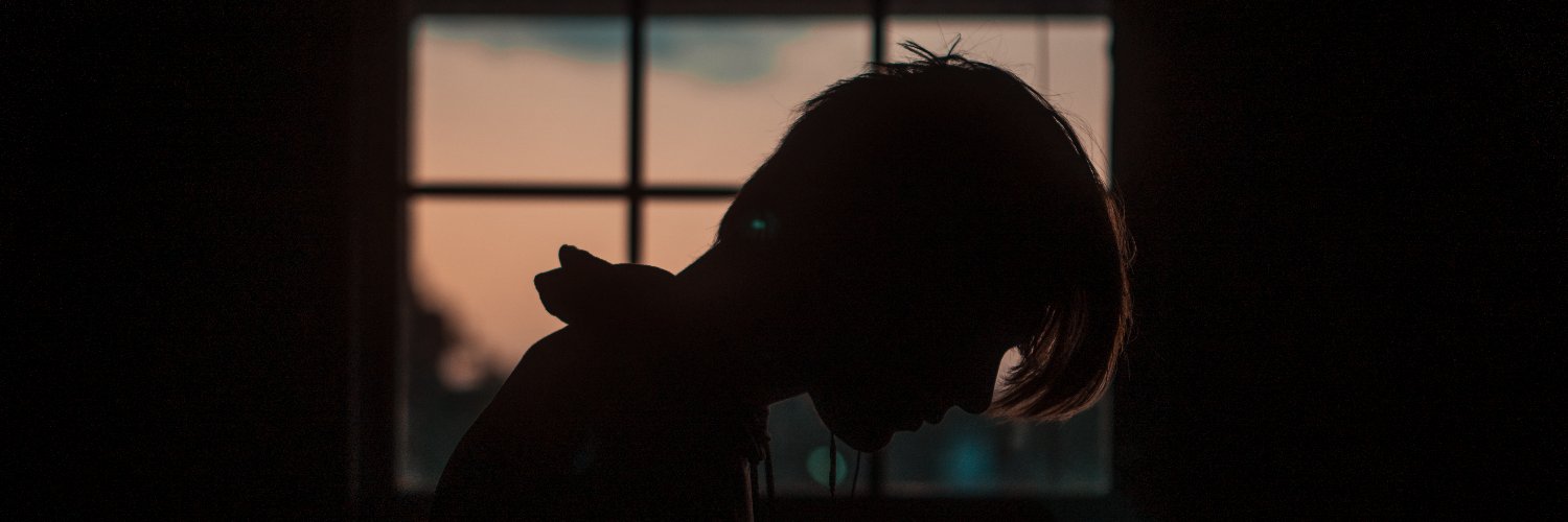 Verarix's profile banner image