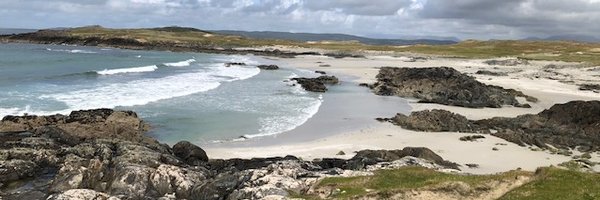 cathymwalsh Profile Banner