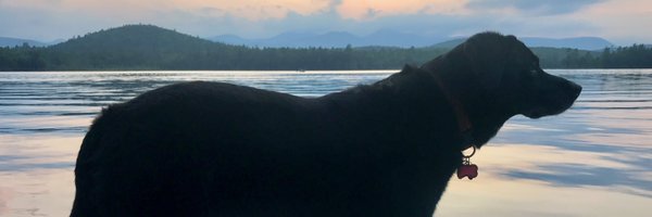 skeetermeeter Profile Banner